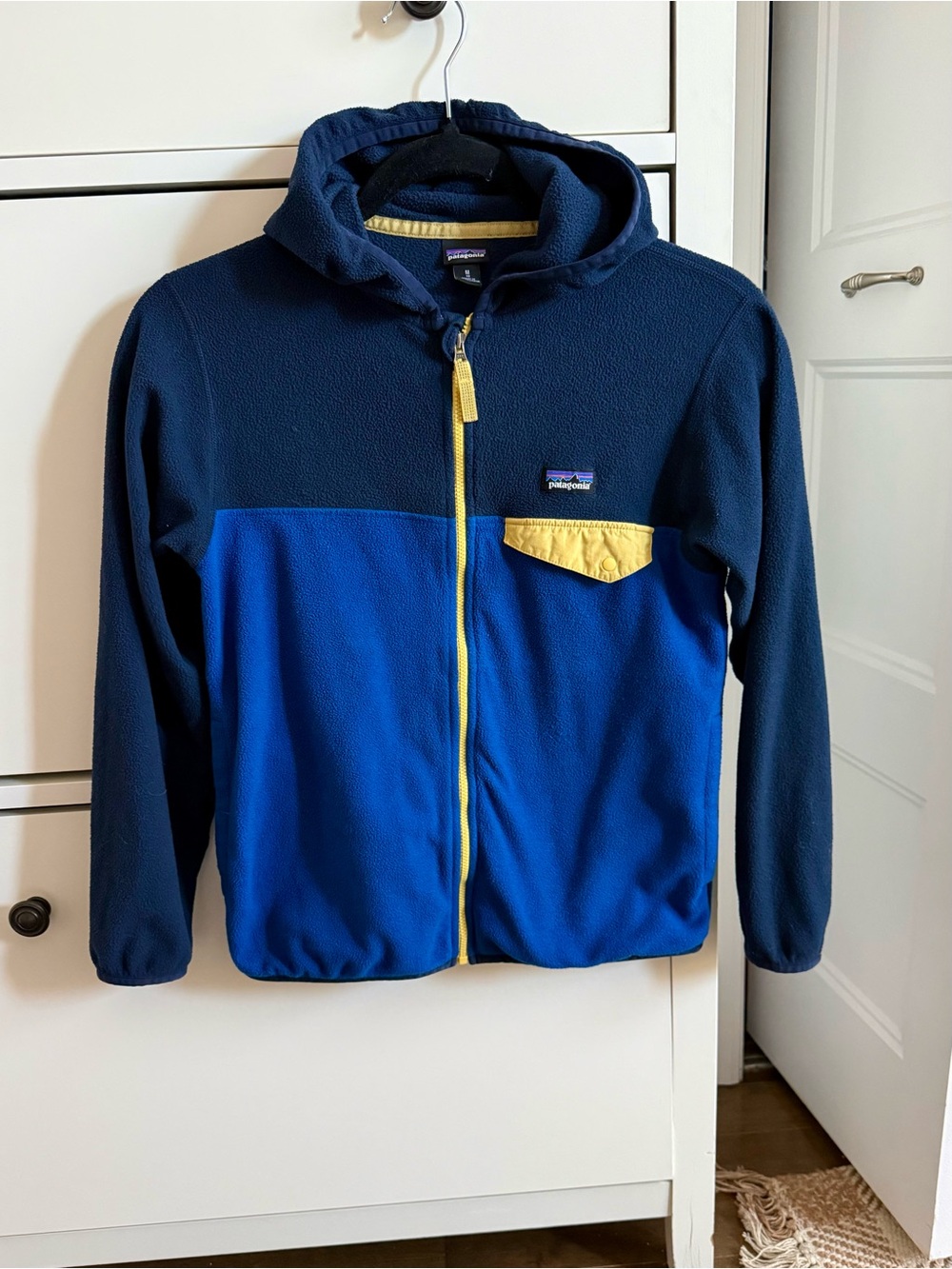 Patagonia Kids Navy & Royal Blue Hooded Fleece
